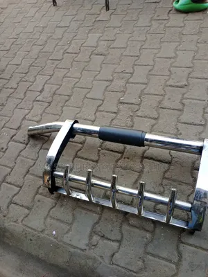 Car Guards (Front)