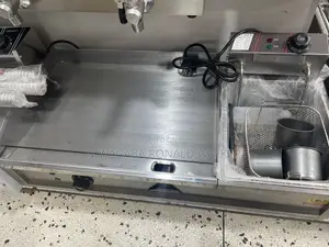 2 in 1 Commercial Electric Griddle Deep Fryer