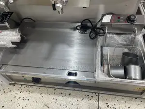 2 in 1 Commercial Electric Griddle Deep Fryer