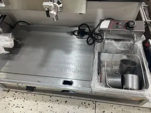 2 in 1 Commercial Electric Griddle Deep Fryer