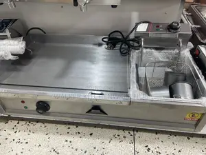 2 in 1 Commercial Electric Griddle Deep Fryer