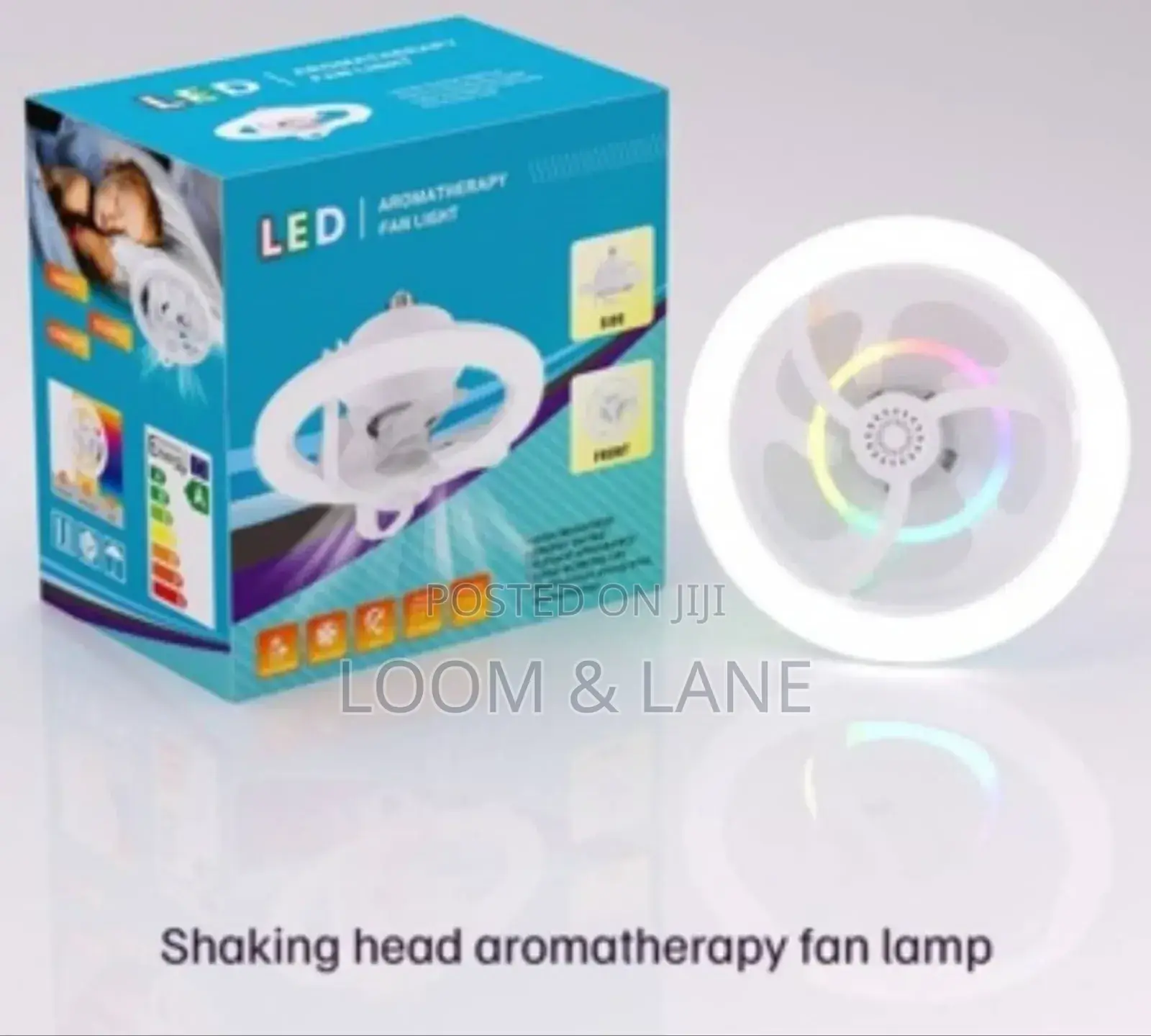 Shaking Head Aromatherapy Fan Lamp