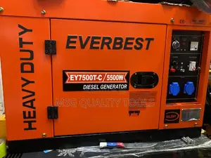 Everbest Diesel Generator