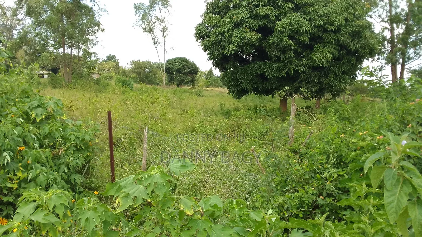 21 Acres of Farmland With Title