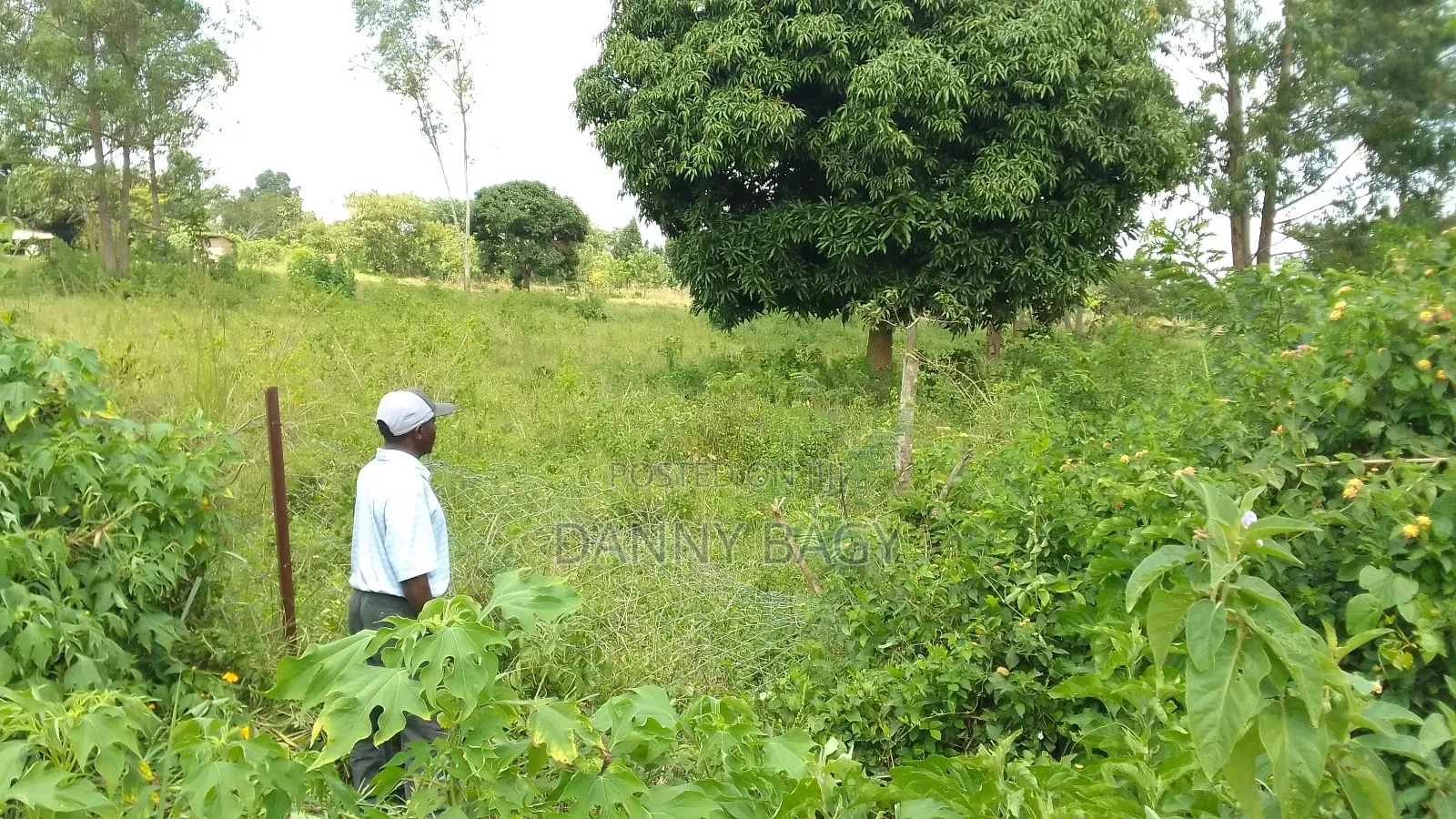 21 Acres of Farmland With Title