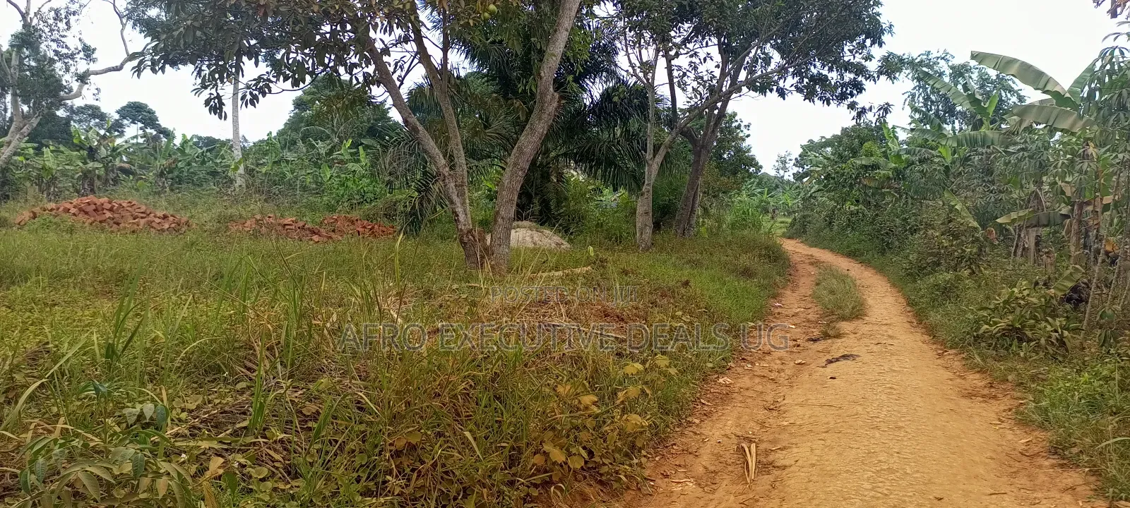 100 Acres of Land on the Hill on Sale at Mpigi Lukalu in Mpigi / Mpigi