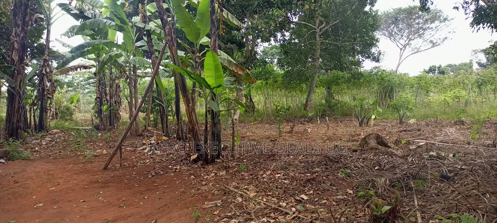 100 Acres of Land on the Hill on Sale at Mpigi Lukalu in Mpigi / Mpigi