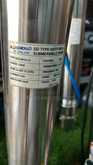 Submersible Water Pump Pedrollo 100M
