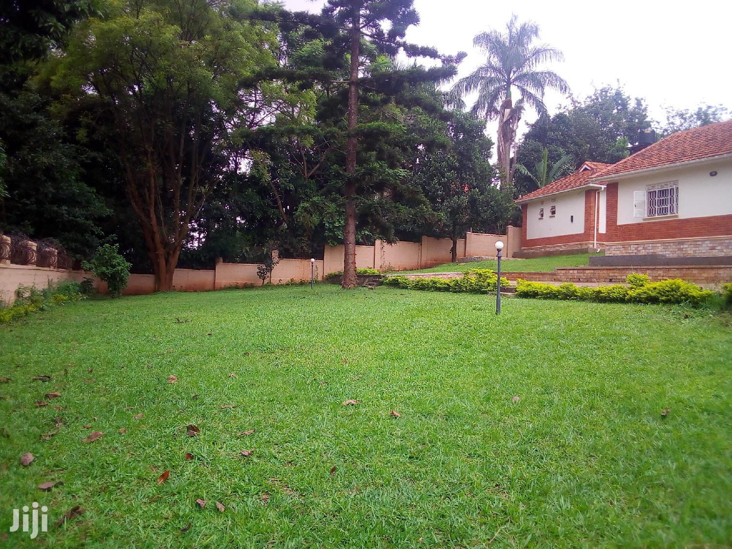 House For Rent