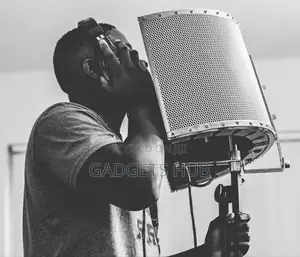 Professional Studio Full Metal Condenser
Microphone for Game