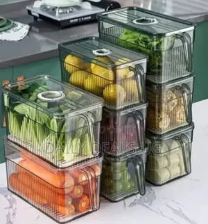 Portable Refrigerator Storage Containers