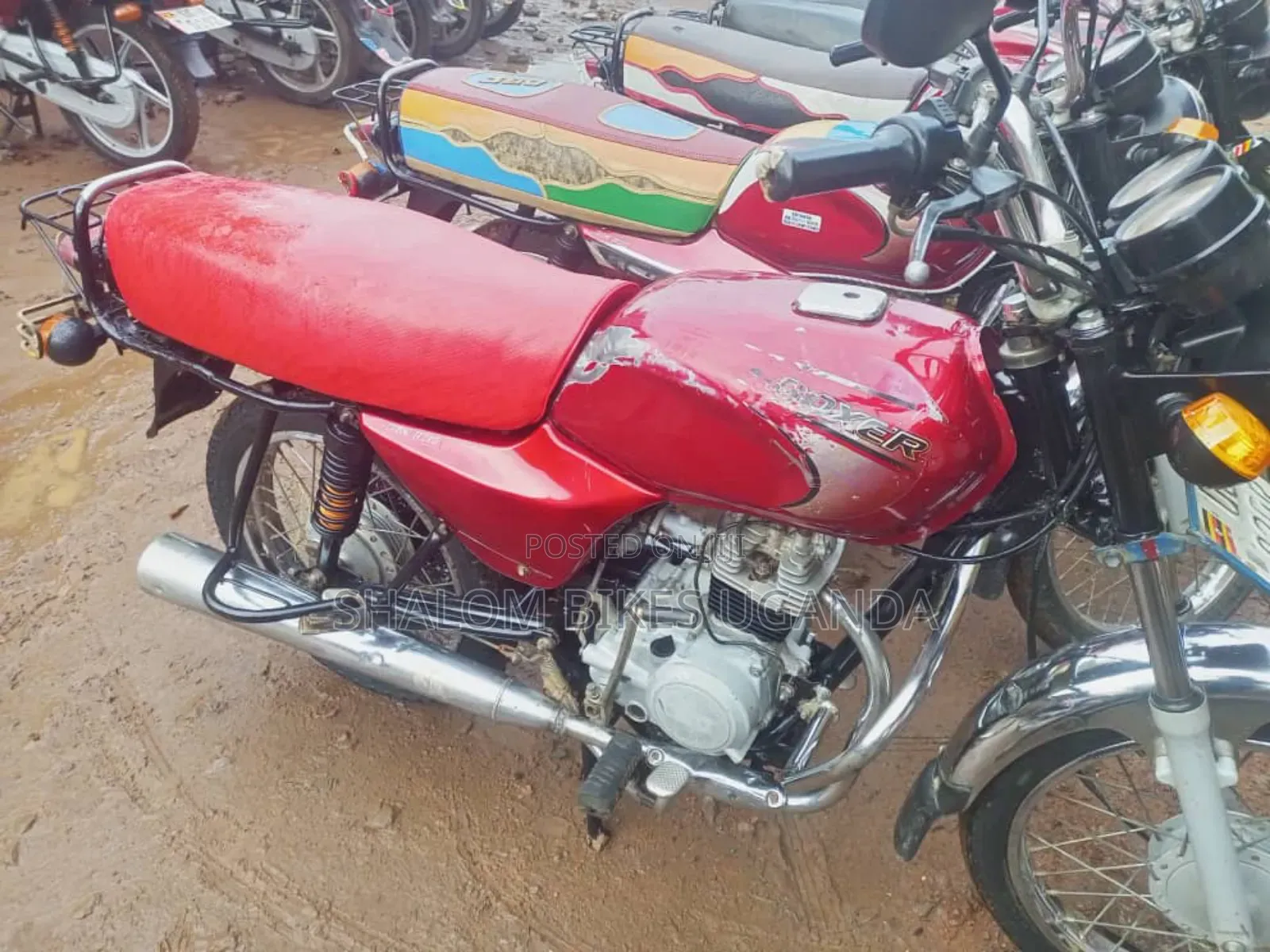 Bajaj Boxer 2021 Red