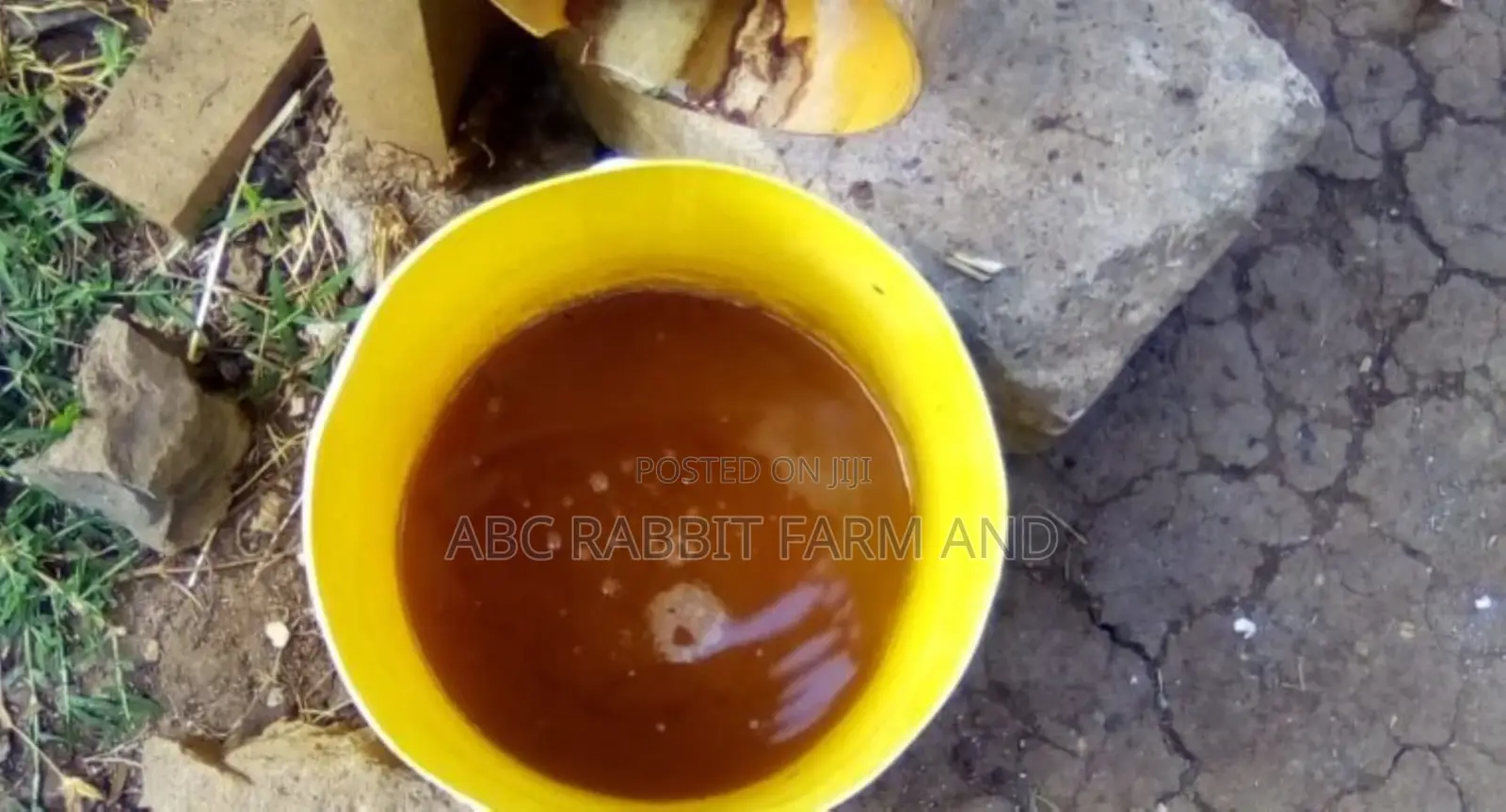 Rabbit Urine for Sale 20 Liters