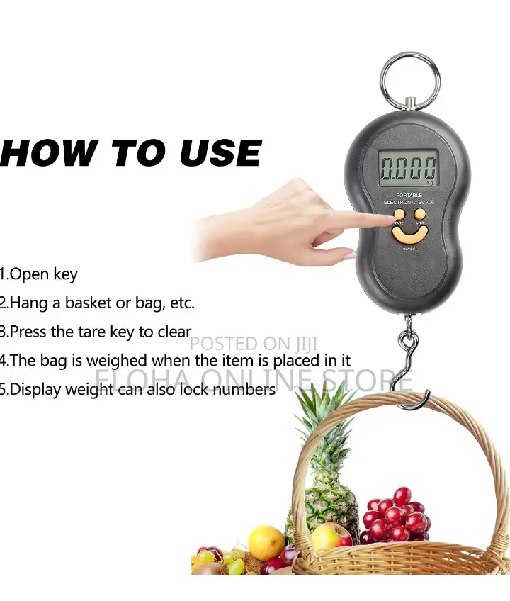 Portable 50kg Travel Digital Scale