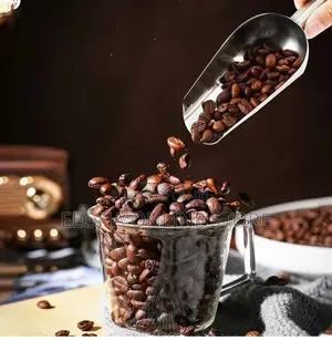 Multifunction Stainless Steel Scoops