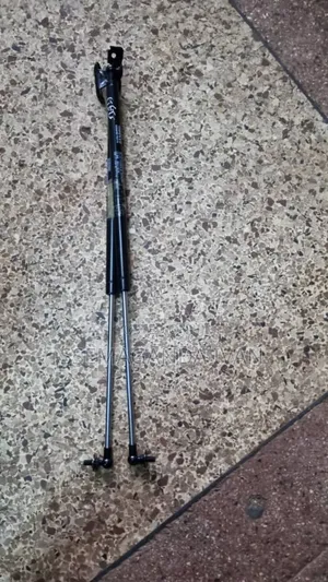 Probox Boot Shock Absorbers