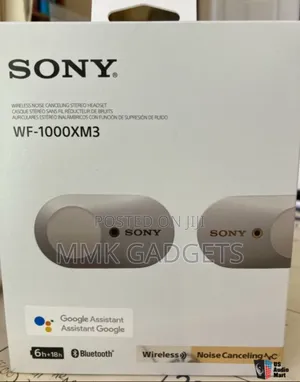 Sony WF 1000XM8 Earbuds