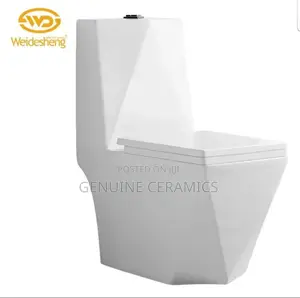 Diamond Toilet