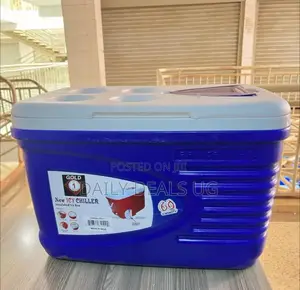 Drinking Ice Cooler Box