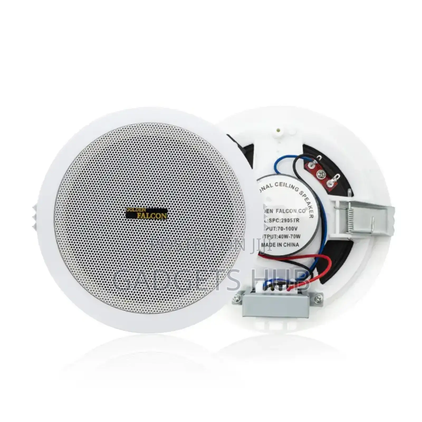 Ceiling Speaker