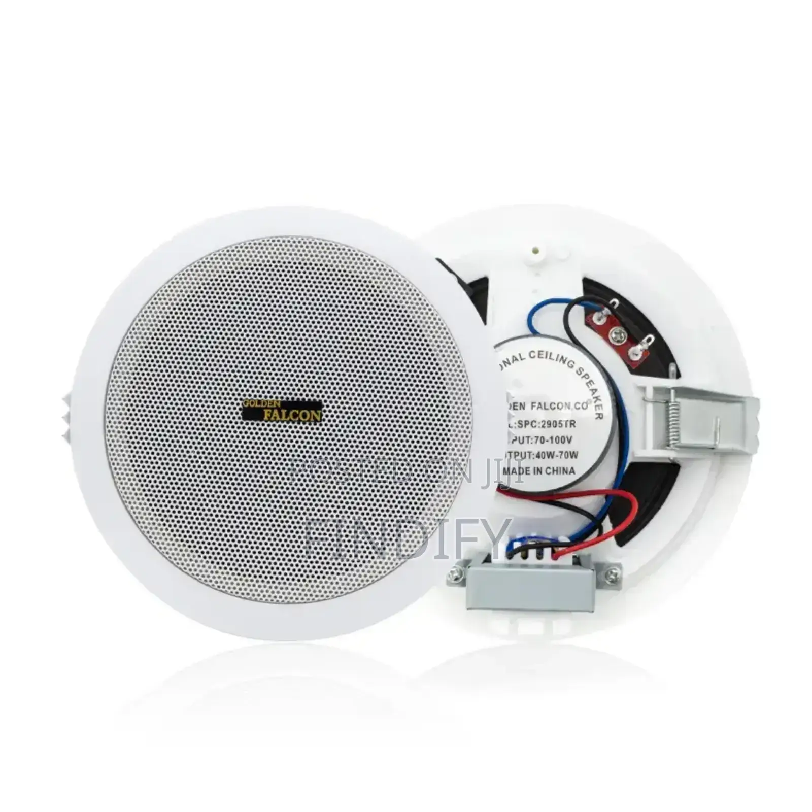 Ceiling Speaker
