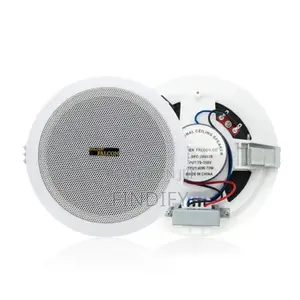Ceiling Speaker