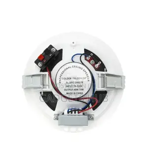 Ceiling Speaker