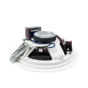 Ceiling Speaker