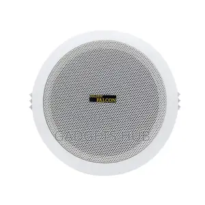 Ceiling Speaker