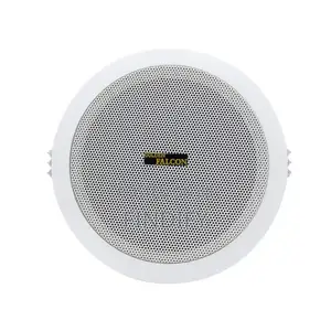 Ceiling Speaker