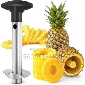 Kitchen Pineapple Cutter Corer And Slicer Tool