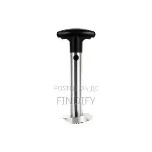 Kitchen Pineapple Cutter Corer And Slicer Tool