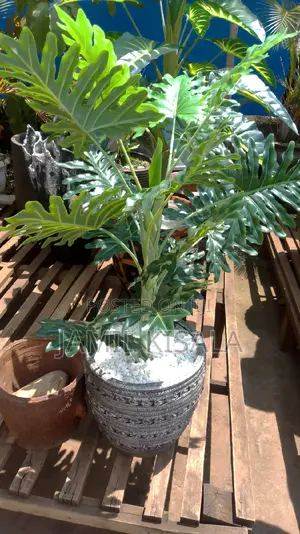 Artificial House Flower Pots