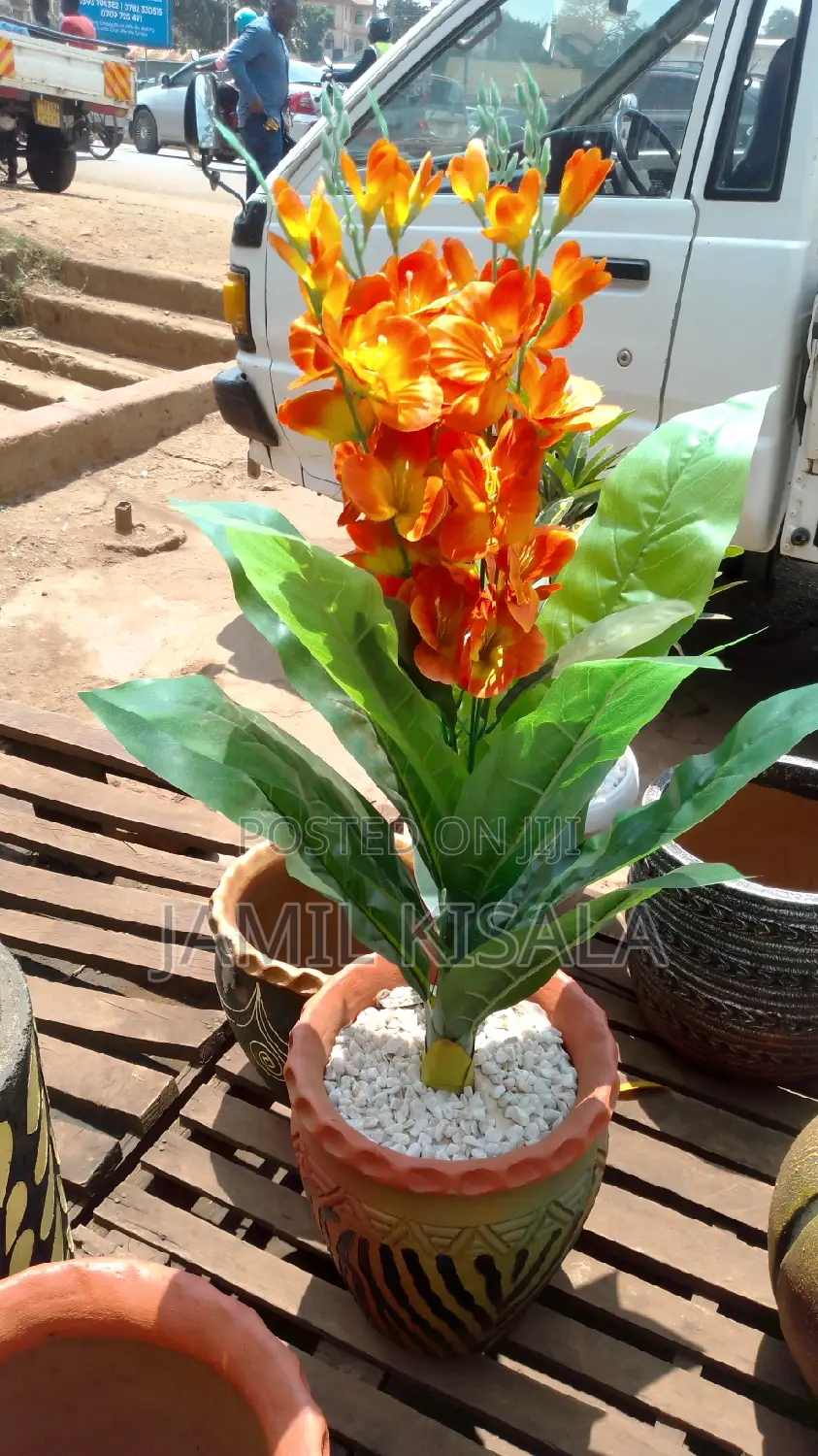 Indoor Flower Pots