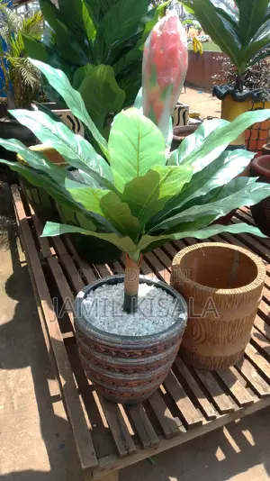 Indoor Flower Pots