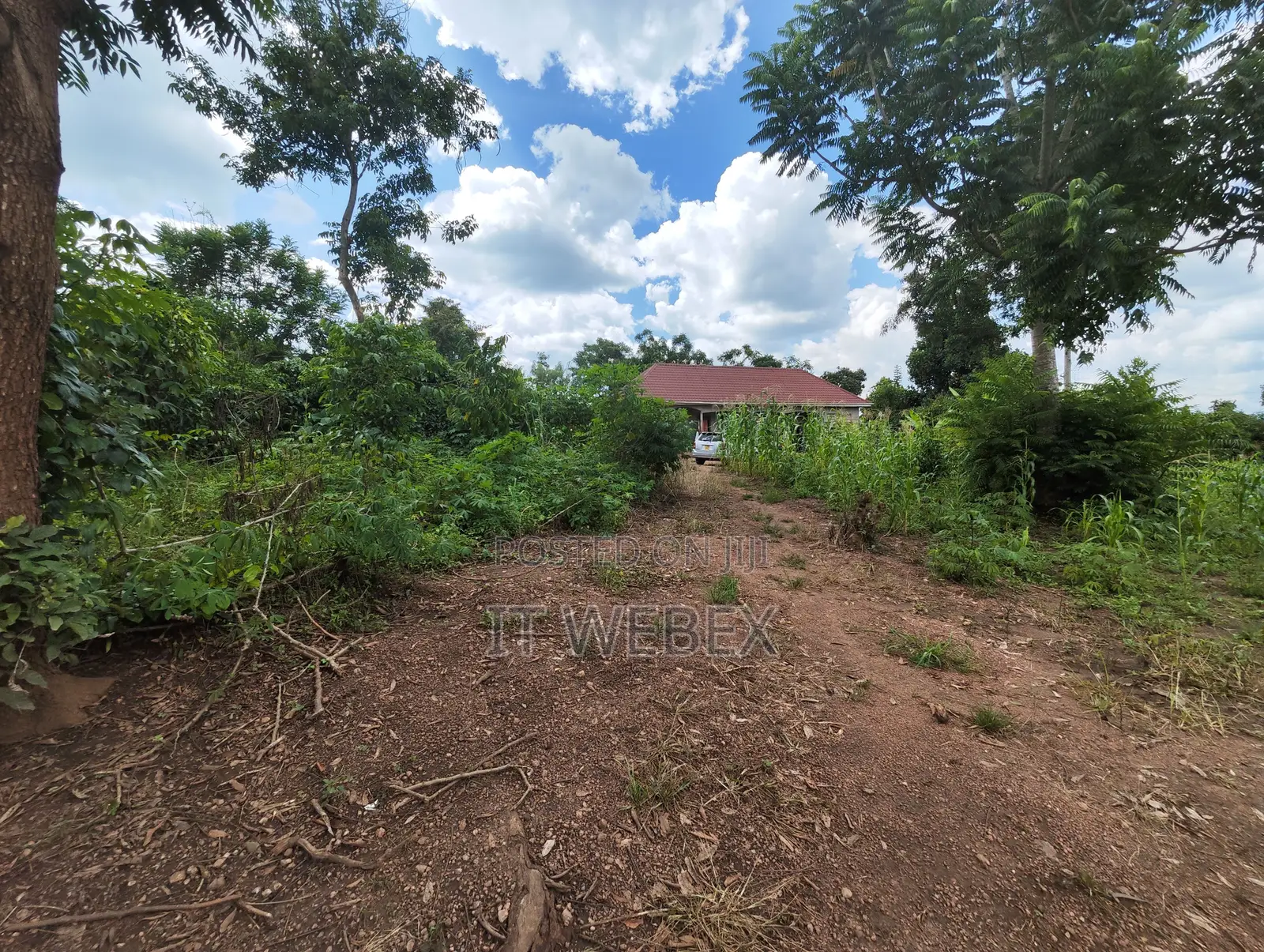 Titled Land a House. Good for Residential, Farming, Business