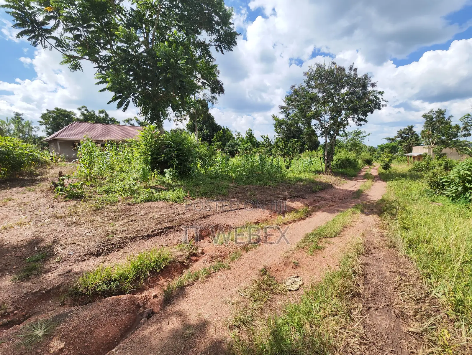 Titled Land a House. Good for Residential, Farming, Business