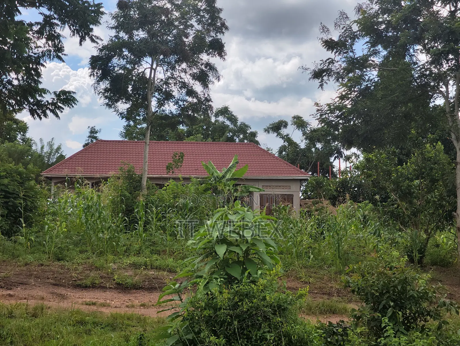 Titled Land a House. Good for Residential, Farming, Business