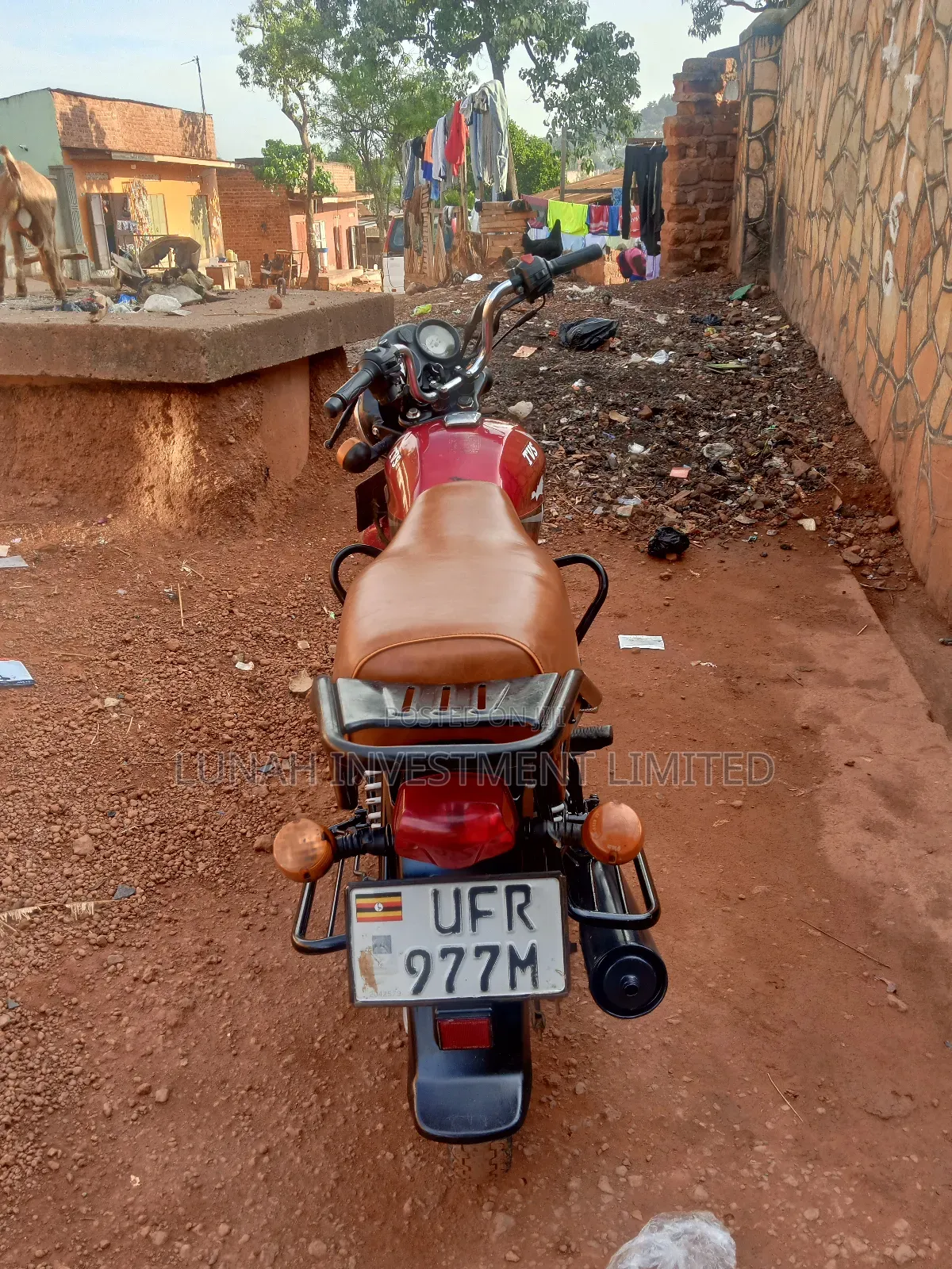 TVS HLX 125 2022 Red