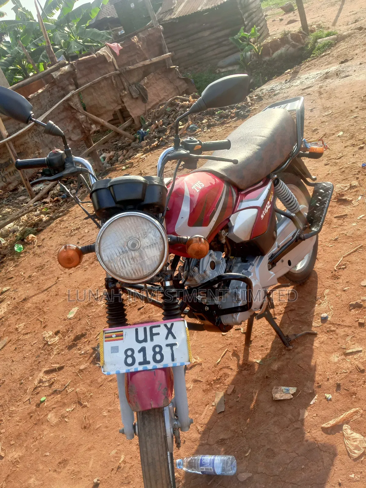 TVS HLX 125 2024 Red