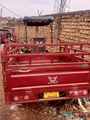 Tricycle 2024 Red