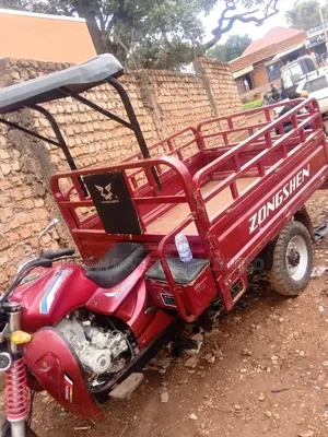 Tricycle 2024 Red