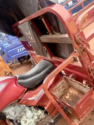 Tricycle 2023 Brown