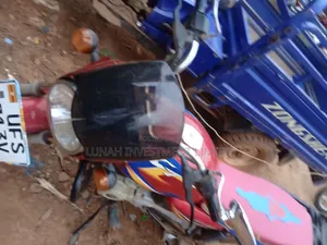Bajaj CT 110X 2024 Red