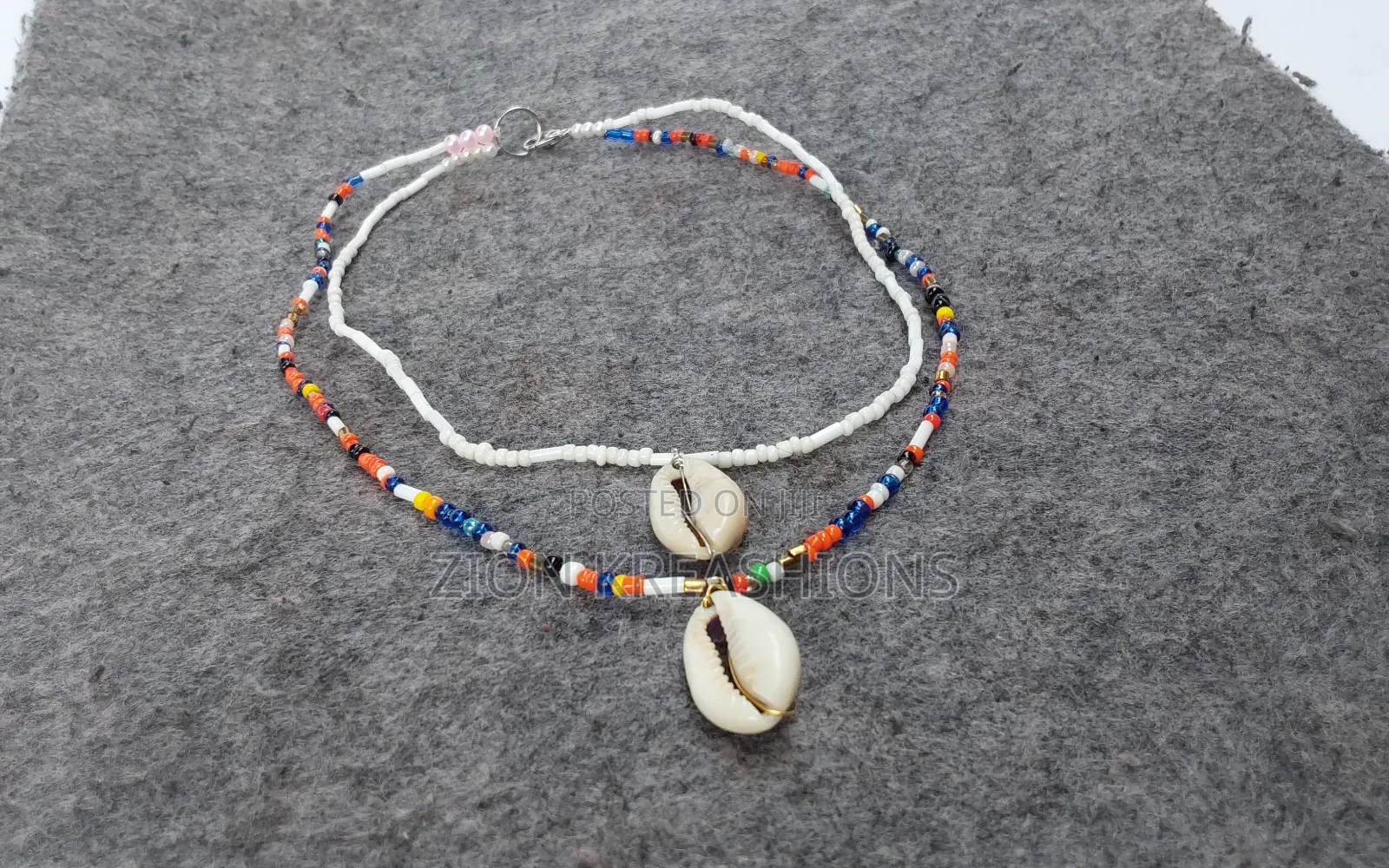 Cowrie Shells  