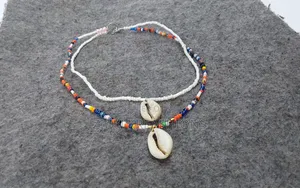 Cowrie Shells  
