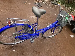 England Used Bicycle / Mama Chaly