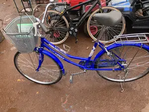 England Used Bicycle / Mama Chaly