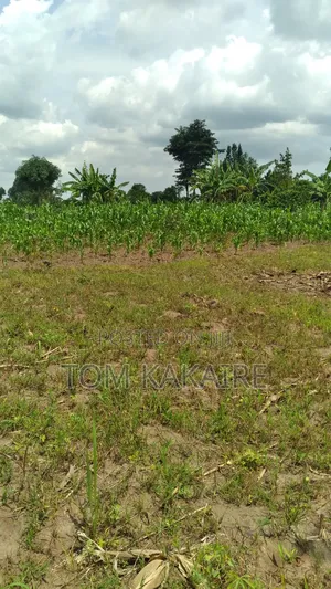Photo - Land Renting