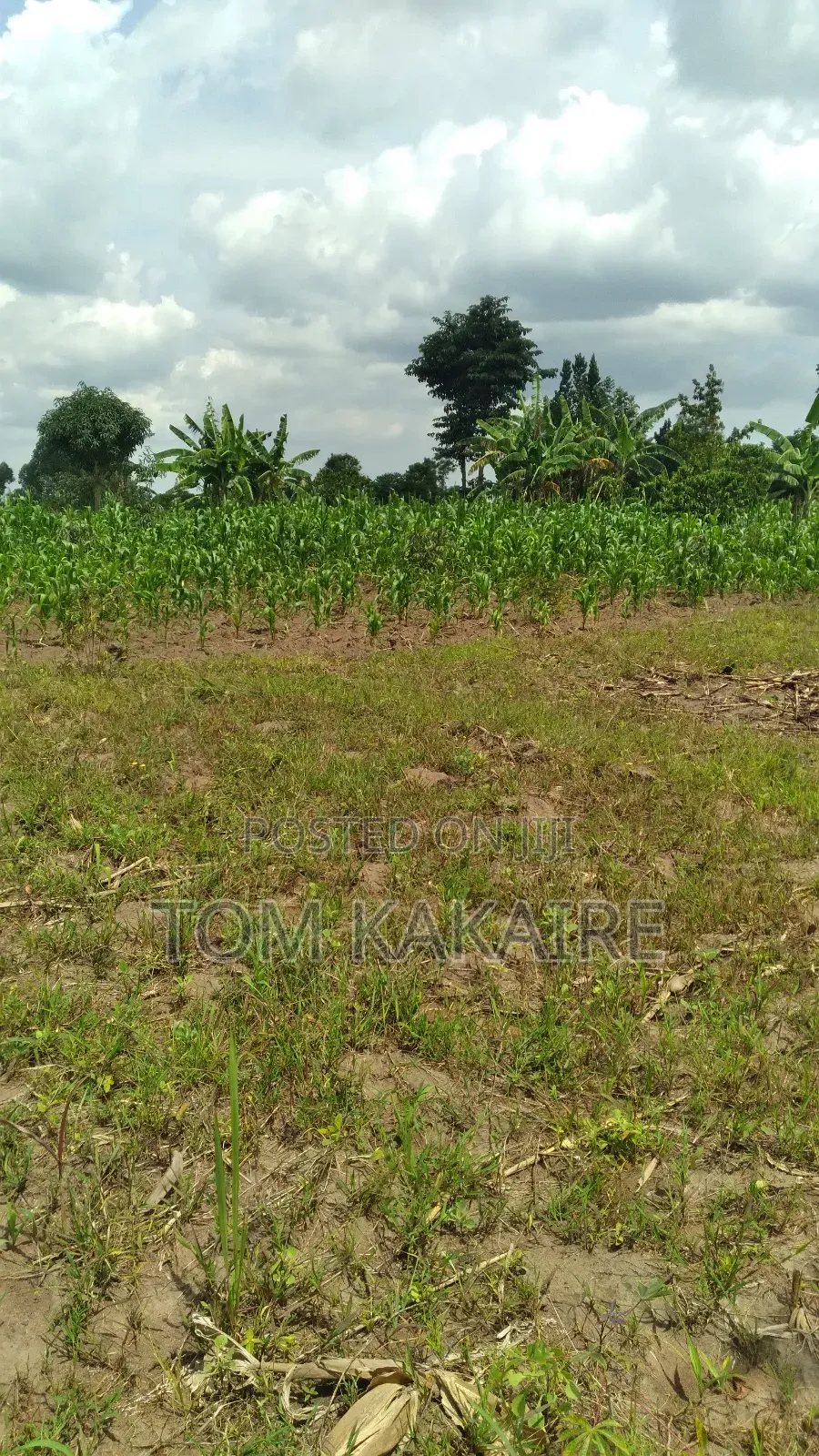 Land Renting